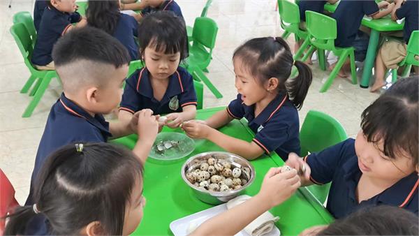 HĐTN Bóc trứng lớp 5 tuổi A4